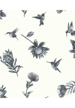 FYNBOS PROTEA BLACK9